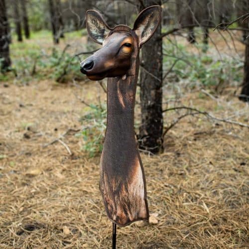 Decoys